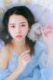 北方的金丝雀